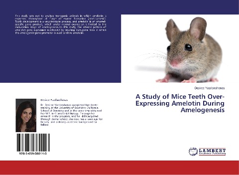 A Study of Mice Teeth Over-Expressing Amelotin During Amelogenesis