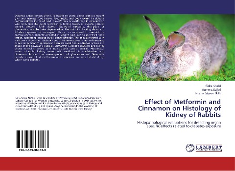 Effect of Metformin and Cinnamon on Histology of Kidney of Rabbits: Histopathological evaluations for detecting organ specific effects related to diabetes exposure