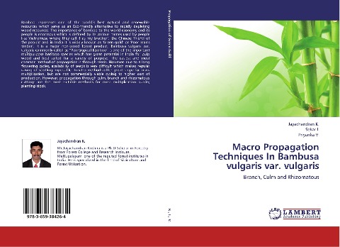 Macro Propagation Techniques In Bambusa vulgaris var. vulgaris: Branch, Culm and Rhizomatous