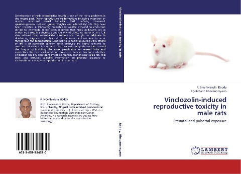 Vinclozolin-induced reproductive toxicity in male rats: Prenatal and pubertal exposure