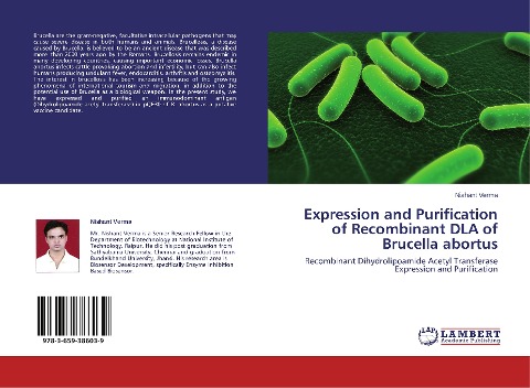 Expression and Purification of Recombinant DLA of Brucella abortus: Recombinant Dihydrolipoamide Acetyl Transferase Expression and Purification