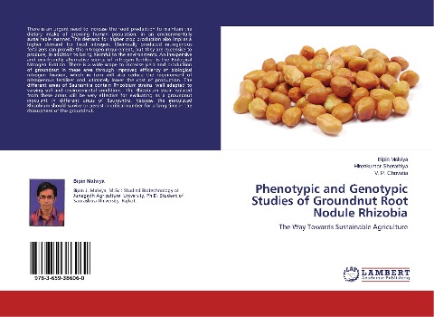 Phenotypic and Genotypic Studies of Groundnut Root Nodule Rhizobia: The Way Towards Sustainable Agriculture