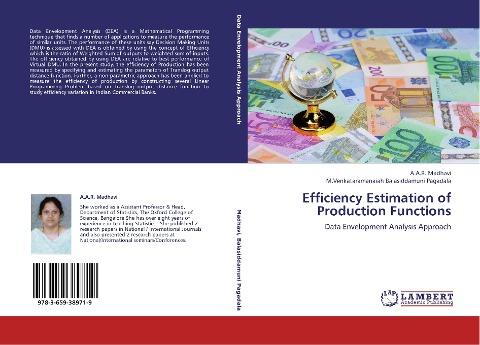 Efficiency Estimation of Production Functions: Data Envelopment Analysis Approach