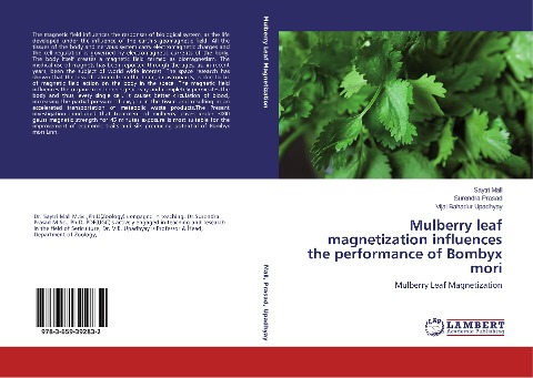 Mulberry leaf magnetization influences the performance of Bombyx mori: Mulberry Leaf Magnetization