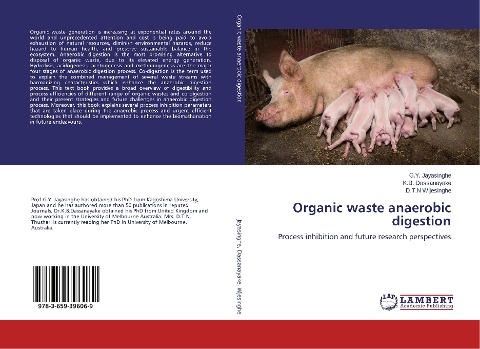 Organic waste anaerobic digestion: Process inhibition and future research perspectives