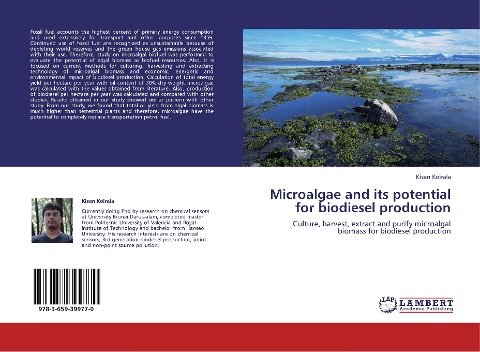 Microalgae and its potential for biodiesel production: Culture, harvest, extract and purify microalgal biomass for biodiesel production