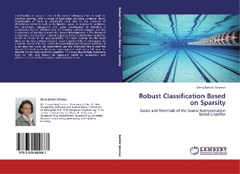 Robust Classification Based on Sparsity: Basics and Potentials of the Sparse Representation based Classifier