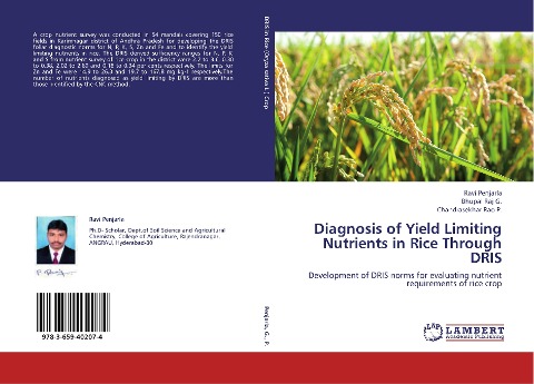 Diagnosis of Yield Limiting Nutrients in Rice Through DRIS: Development of DRIS norms for evaluating nutrient requirements of rice crop