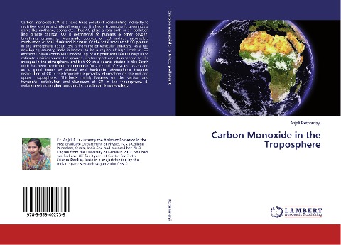 Carbon Monoxide in the Troposphere