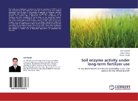 Soil enzyme activity under long-term fertilizer use: A key determinant of nutrient availability in soil and uptake during wheat growth
