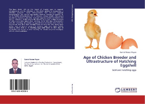 Age of Chicken Breeder and Ultrastructure of Hatching Eggshell: SEM and Hatching eggs