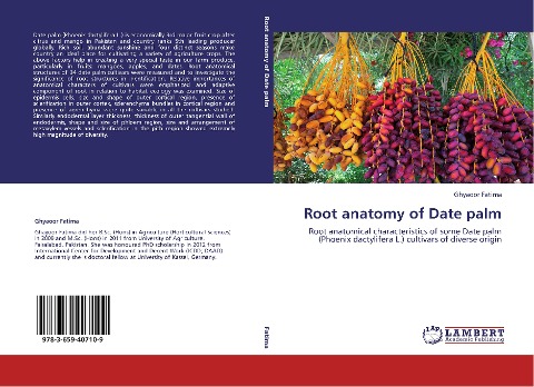 Root anatomy of Date palm: Root anatomical characteristics of some Date palm (Phoenix dactylifera L.) cultivars of diverse origin