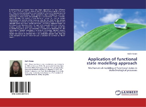 Application of functional state modelling approach: Mathematical modeling of functional states in biotechnological processes