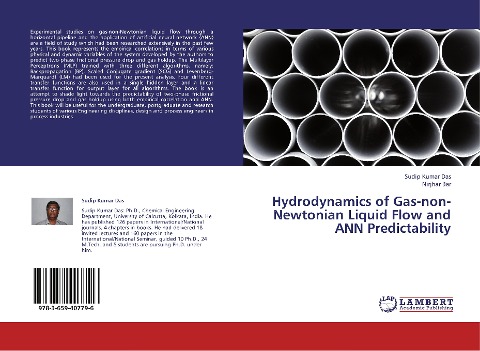 Hydrodynamics of Gas-non-Newtonian Liquid Flow and ANN Predictability