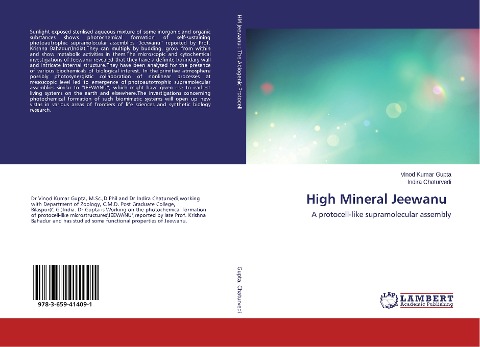 High Mineral Jeewanu: A protocell-like supramolecular assembly