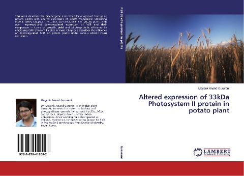 Altered expression of 33kDa Photosystem II protein in potato plant