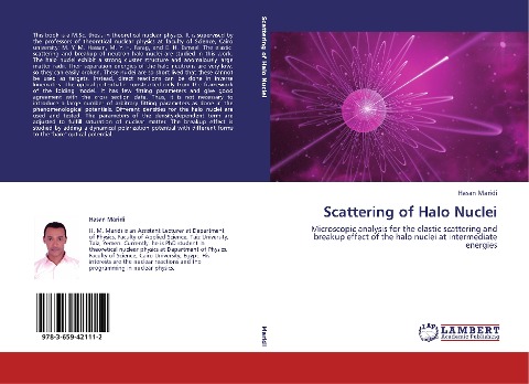 Scattering of Halo Nuclei: Microscopic analysis for the elastic scattering and breakup effect of the halo nuclei at intermediate energies
