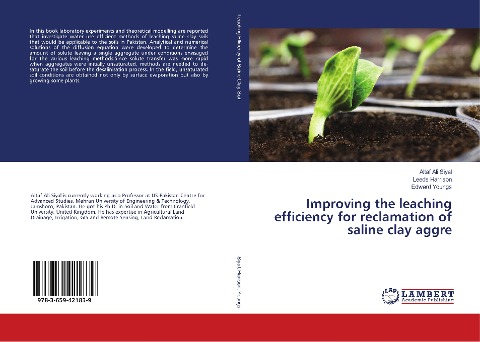 Improving the leaching efficiency for reclamation of saline clay aggre