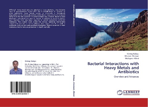 Bacterial Interactions with Heavy Metals and Antibiotics: Overview and Advances