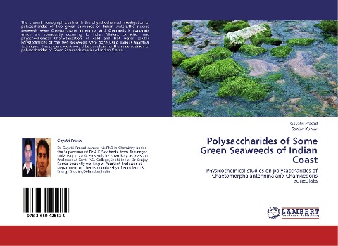 Polysaccharides of Some Green Seaweeds of Indian Coast: Physicochemical studies on polysaccharides of Chaetomorpha antennina and Chamaedoris auriculata