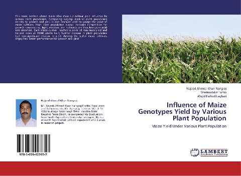 Influence of Maize Genotypes Yield by Various Plant Population: Maize Yield Under Various Plant Population