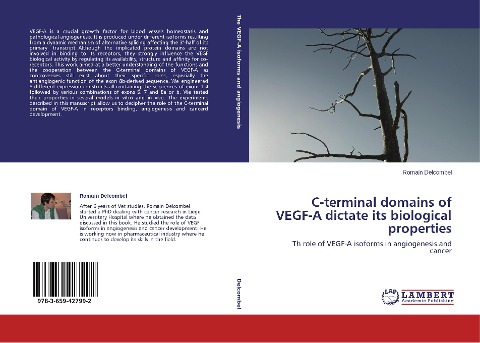 C-terminal domains of VEGF-A dictate its biological properties: Th role of VEGF-A isoforms in angiogenesis and cancer