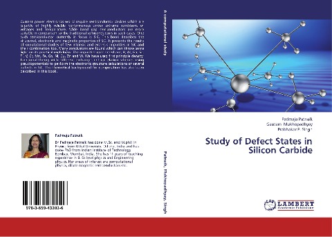 Study of Defect States in Silicon Carbide