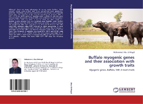 Buffalo myogenic genes and their association with growth traits: Myogenic genes, Buffalo, SNP, Growth traits