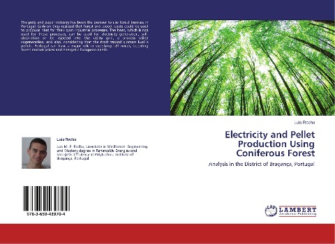 Electricity and Pellet Production Using Coniferous Forest: Analysis in the District of Bragança, Portugal