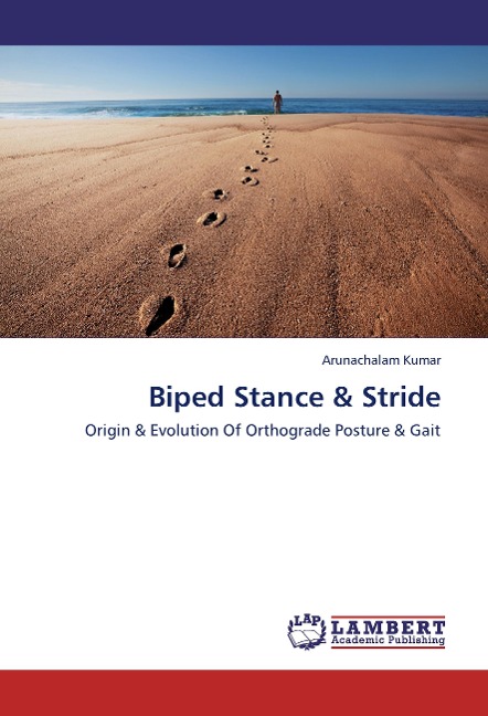 Biped Stance & Stride: Origin & Evolution Of Orthograde Posture & Gait