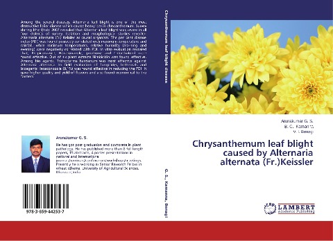 Chrysanthemum leaf blight caused by Alternaria alternata (Fr.)Keissler