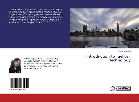 Introduction to fuel cell technology
