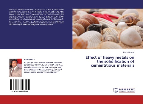 Effect of heavy metals on the solidification of cementitious materials