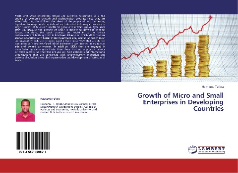Growth of Micro and Small Enterprises in Developing Countries