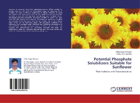 Potential Phosphate Solubilizers Suitable for Sunflower: Their Isolation and Characterization