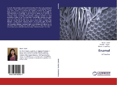 Enamel: A Treatise
