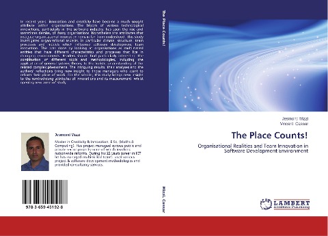 The Place Counts!: Organisational Realities and Team Innovation in Software Development Environment