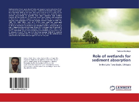 Role of wetlands for sediment absorption: in the Lake Tana Basin, Ethiopia