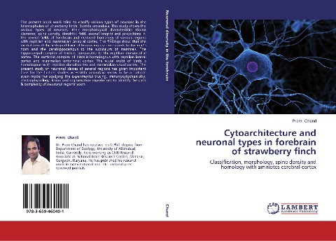 Cytoarchitecture and neuronal types in forebrain of strawberry finch: Classification, morphology, spine density and homology with amniotes cerebral cortex