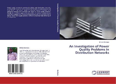 An Investigation of Power Quality Problems in Distribution Networks