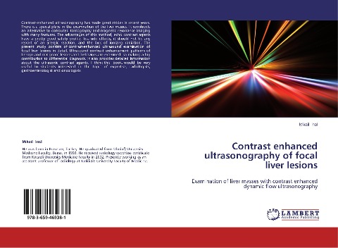 Contrast enhanced ultrasonography of focal liver lesions: Examination of liver masses with contrast enhanced dynamic flow ultrasonography