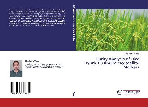 Purity Analysis of Rice Hybrids Using Microsatellite Markers