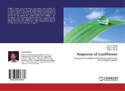 Response of Cauliflower: To Irrigation Schedules and Fertilizer Levels under Drip Irrigation System