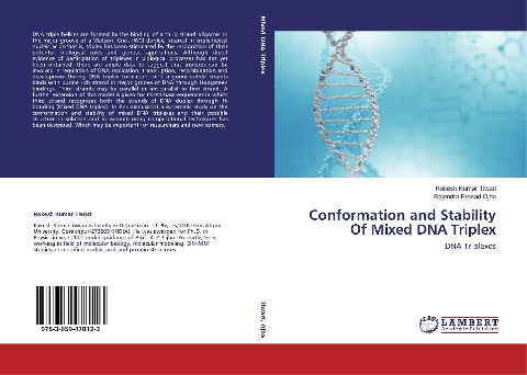 Conformation and Stability Of Mixed DNA Triplex: DNA Triplexes