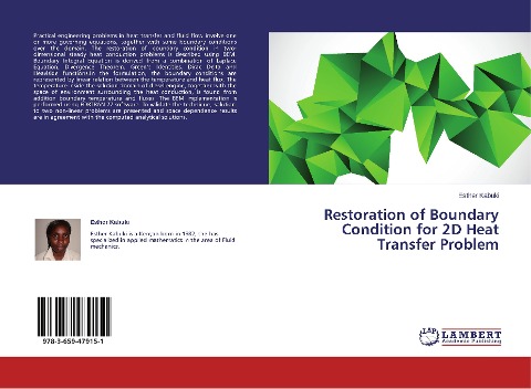 Restoration of Boundary Condition for 2D Heat Transfer Problem