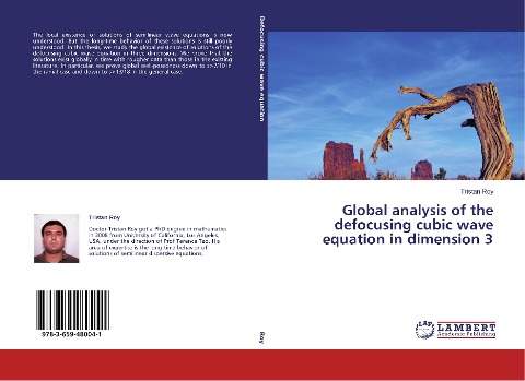 Global analysis of the defocusing cubic wave equation in dimension 3