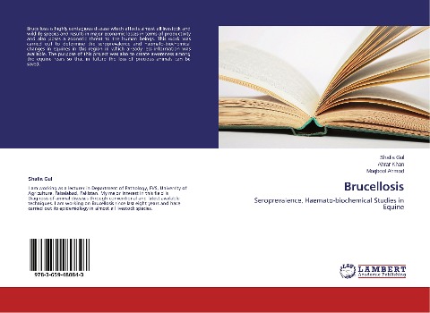 Brucellosis: Seroprevalence, Haemato-biochemical Studies in Equine