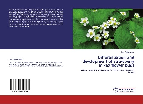Differentiation and development of strawberry mixed flower buds: Organ genesis of strawberry flower buds in region of Skopje