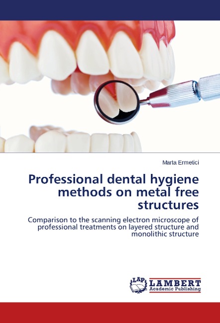 Professional dental hygiene methods on metal free structures: Comparison to the scanning electron microscope of professional treatments on layered structure and monolithic structure