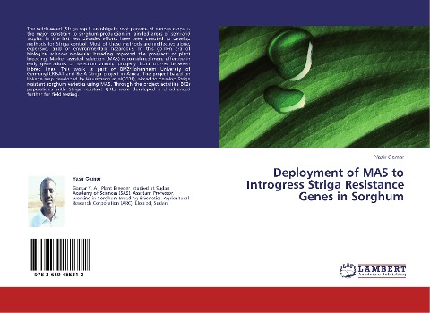 Deployment of MAS to Introgress Striga Resistance Genes in Sorghum